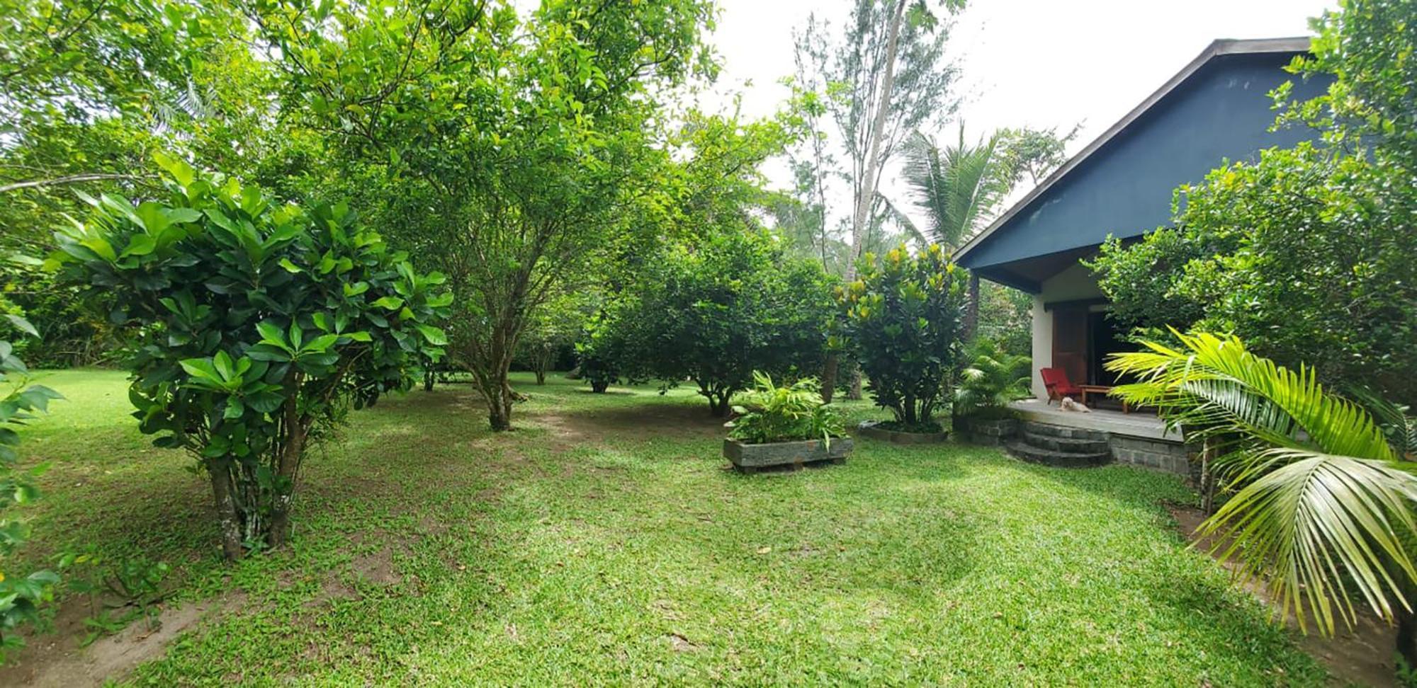 Les Citronniers Acomodação com café da manhã Ile Sainte-Marie Exterior foto